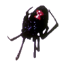 Black Widow Spider