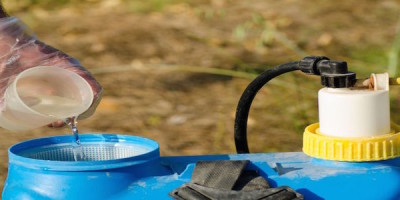 Considerations for Safer Spider Pest Control at Home