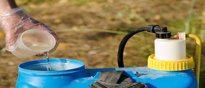 Considerations for Safer Spider Pest Control at Home
