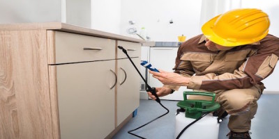 Pest Control—Hire an Exterminator to Free Your Living Space of Pests