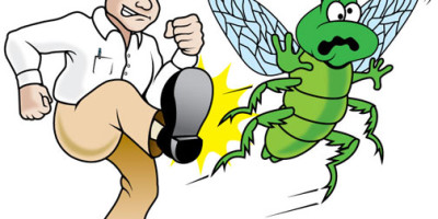 Pest Exterminator – 3 Benefits of Hiring an Expert