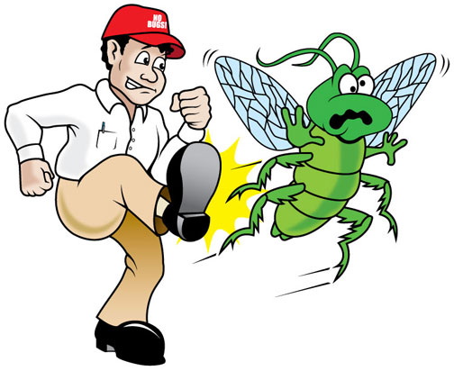 Pest Exterminator – 3 Benefits of Hiring an Expert